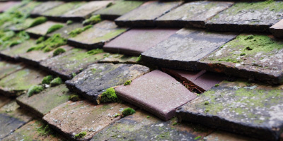 Alton roof repair costs